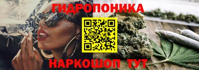 mdpv Лесосибирск