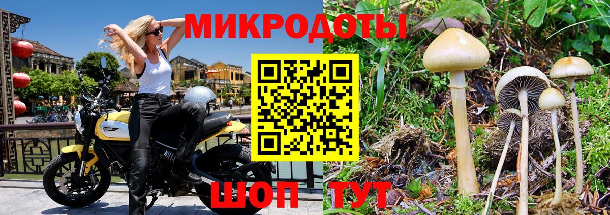 Галлюциногенные грибы мухоморы Каменка